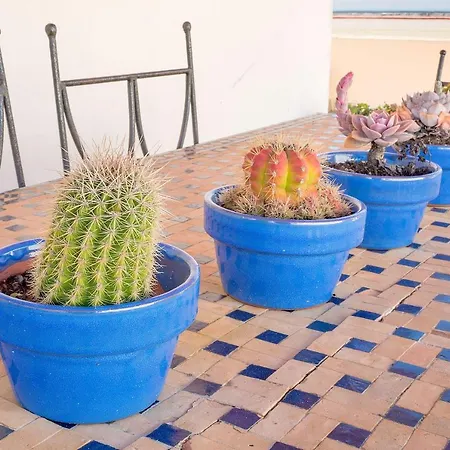 Atico En El Centro Con Terraza Apartment Cadiz Exterior photo
